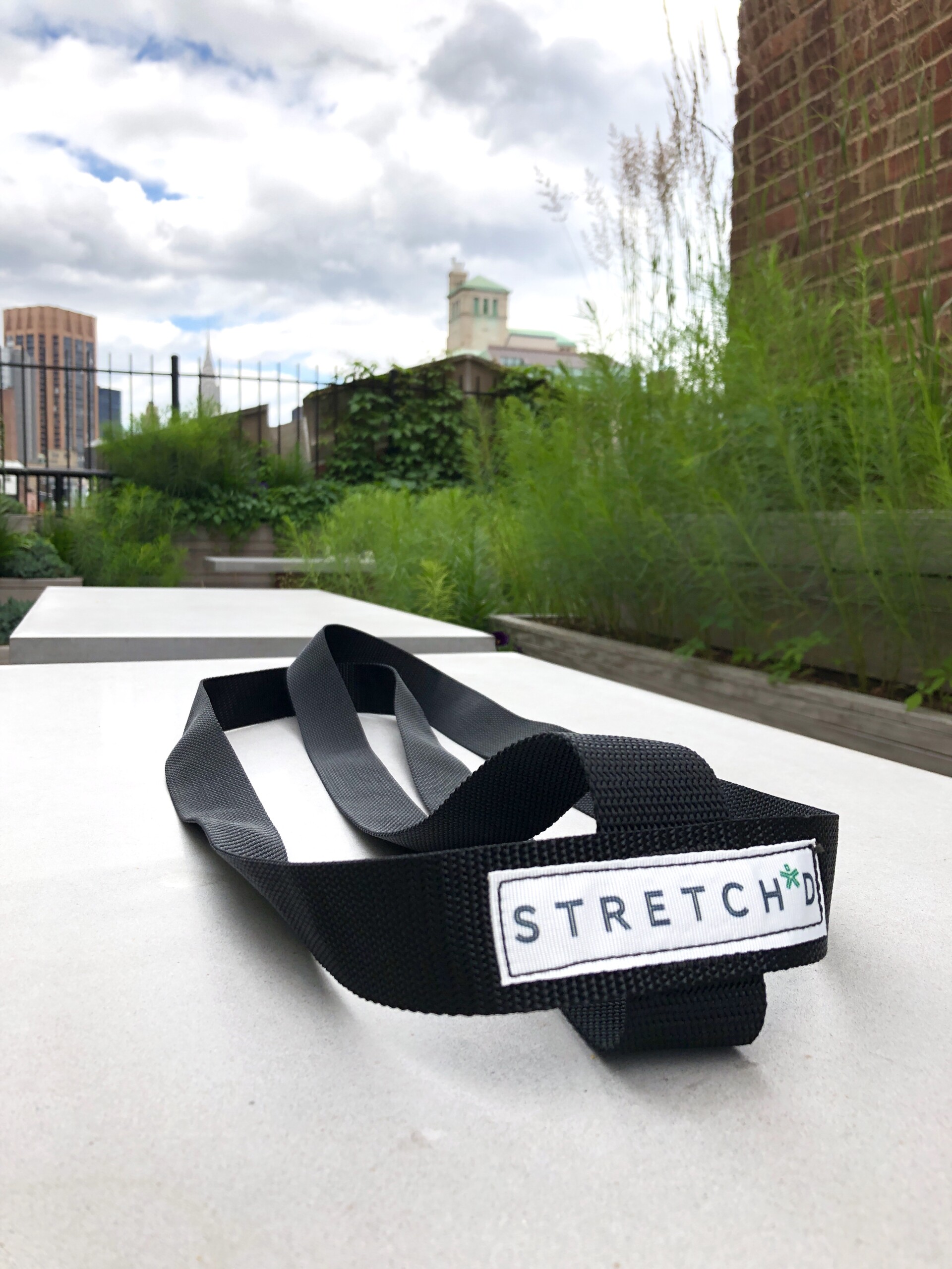 Stretch*d Academy Starter Kit (NEW) - Stretch*d